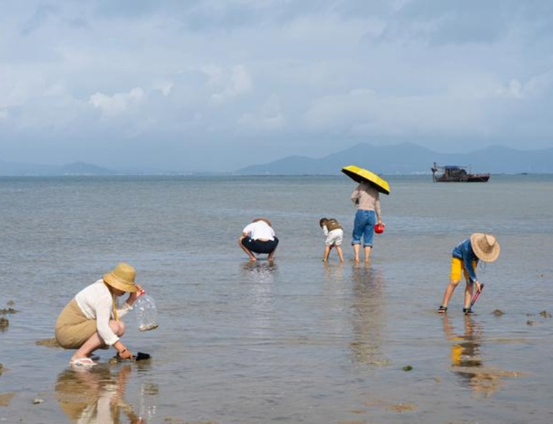 趕海2.jpg