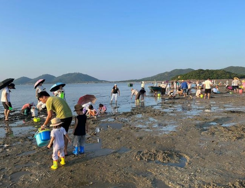趕海6.jpg